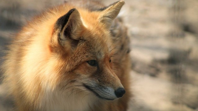 CCC Group join the initiative 