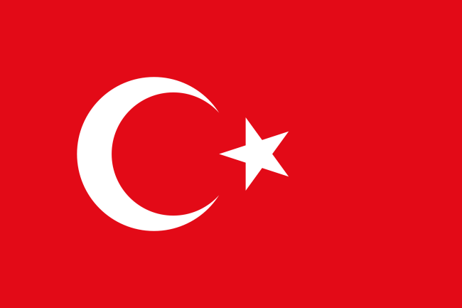 Podjęcie uchwały o utworzeniu Spółki zależnej w Turcji