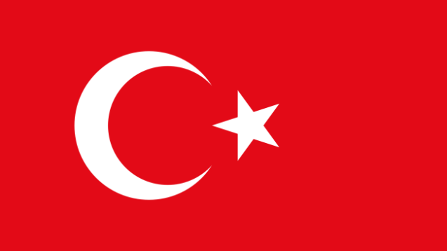 Podjęcie uchwały o utworzeniu Spółki zależnej w Turcji
