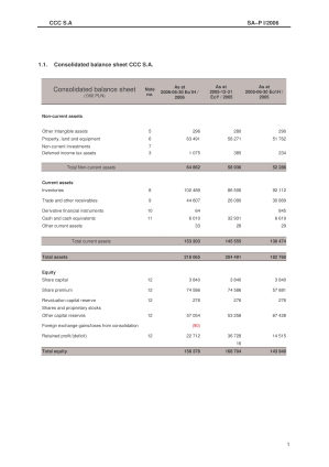 Consolidated CCC Capital Group report for the first half of the year of 2006