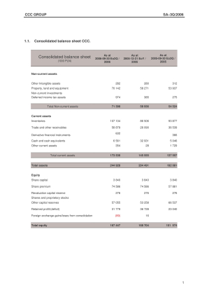 Consolidated quarterly report Q3 2006