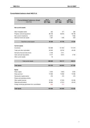 Consolidated quarterly report Q1 2007