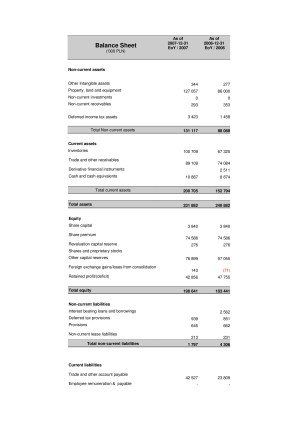 Consolidated annual report for the fiscal year of 2007