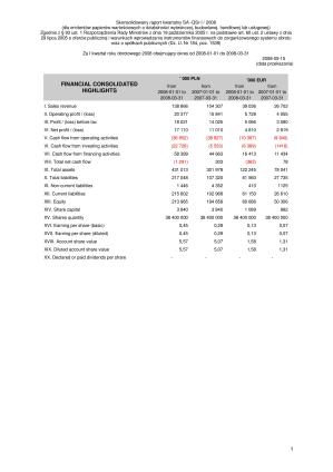 Consolidated quarterly report Q1 2008