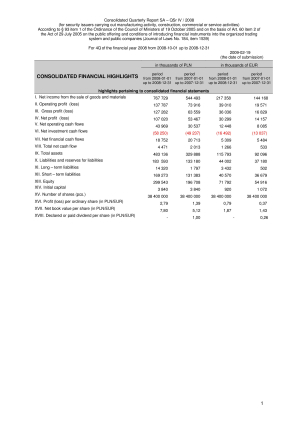 Consolidated quarterly report Q4 2008