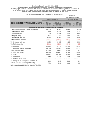 Consolidated Quarterly Report For 1Q of the financial year 2009
